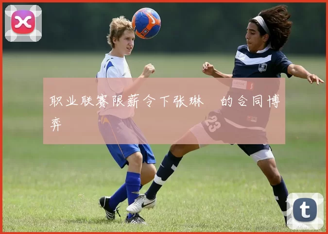 职业联赛限薪令下张琳芃的合同博弈