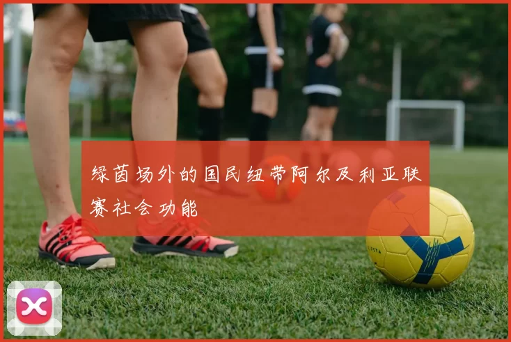 绿茵场外的国民纽带阿尔及利亚联赛社会功能
